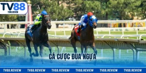 Cá Cược Đua Ngựa - Hình Thức Giải Trí Đầy Gay Cấn 2026