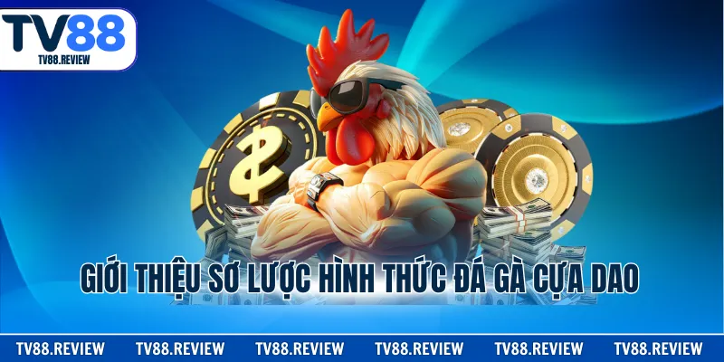 Giới thiệu sơ lược thông tin ban đầu về hình thức đá gà cựa dao