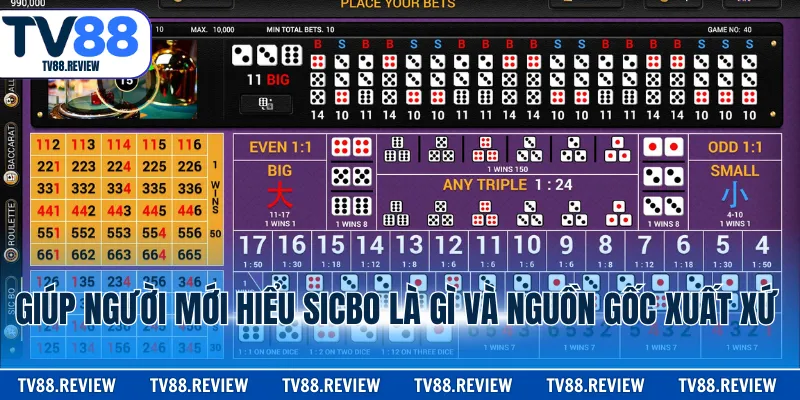 Giúp người mới hiểu sicbo là gì và nguồn gốc xuất xứ