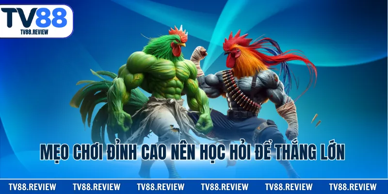 Mẹo chơi đỉnh cao nên học hỏi để thắng lớn