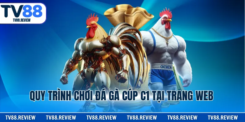 Quy trình chơi đá gà cúp c1 tại trang web
